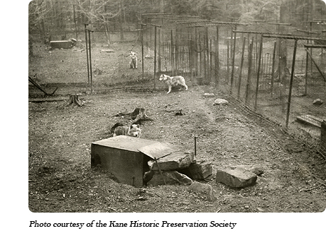 A view of the pens at Dr. McCleery's lobo wolf park along Route 6 between Kane and Mt. Jewett, PA.