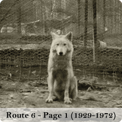 View photos of the Route 6 wolf park (page 1 - the wolves and the park)