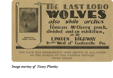 Advertisement card for Dr. McCleery's wolf pack between Gap and Coatesville, PA. Image courtesy of Nancy Plumley.