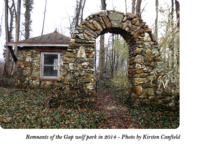 The remnants of the stone archway and ticket booth at the entrance to Dr. McCleery's wolf park between Gap and Coatesville, PA as of 2014. Photo by Kirsten Canfield.